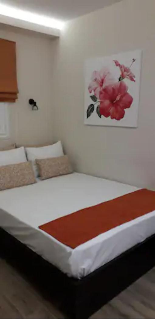 Domenica Apts I Laganas Room photo